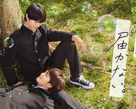 seo标题与关键词优化